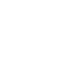 Soulful Connections